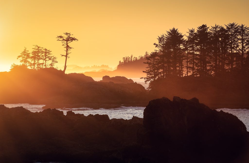 Ucluelet British Columbia Pacific Rim golden hour shoreline coastline 