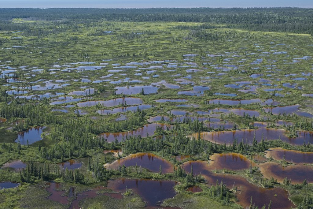 Edéhzhíe wetlands northwest territories IPCAs